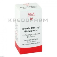 Бронхи Плантаго ● Bronchi Plantago