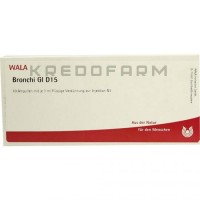 Бронхі ● Bronchi