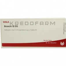 Бронхі ● Bronchi