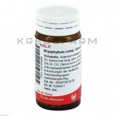 Бріофілум Комп ● Bryophyllum Comp