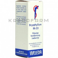 Бріофіллум ● Bryophyllum