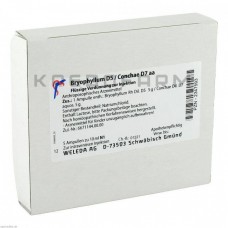 Бріофіллум ● Bryophyllum