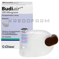 Будиэйр ● Budiair