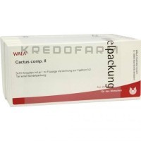 Кактус Комп ● Cactus Comp