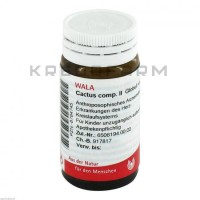 Кактус Комп ● Cactus Comp