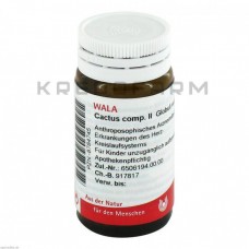 Кактус Комп ● Cactus Comp