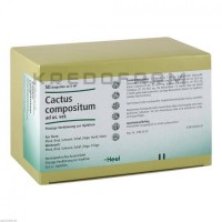 Кактус Композитум ● Cactus Compositum