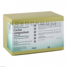 Кактус Композитум ● Cactus Compositum