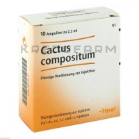 Кактус Композитум ● Cactus Compositum