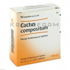 Кактус Композитум ● Cactus Compositum