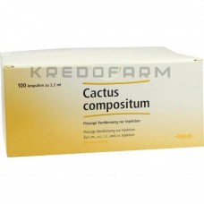 Кактус Композитум ● Cactus Compositum