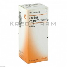 Кактус Композитум ● Cactus Compositum