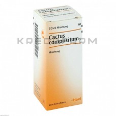 Кактус Композитум ● Cactus Compositum