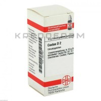 Кактус ● Cactus