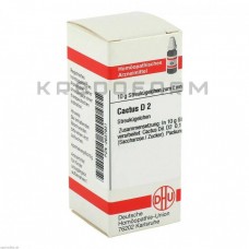 Кактус ● Cactus