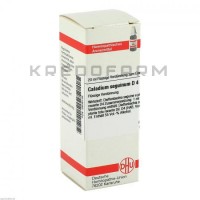 Каладиум ● Caladium