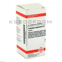 Каладиум ● Caladium