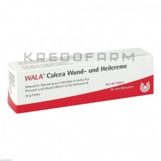 Кальцея ● Calcea