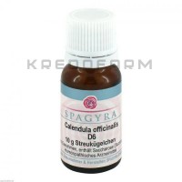 Календула Оффіциналіс ● Calendula Officinalis