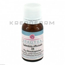 Календула Оффіциналіс ● Calendula Officinalis