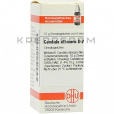 Кандида Альбіканс ● Candida Albicans