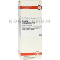 Капселла Бурса ● Capsella Bursa