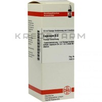 Капсикум ● Capsicum