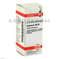 Капсикум ● Capsicum