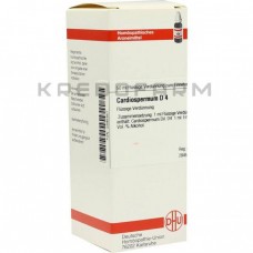 Кардіоспермум ● Cardiospermum