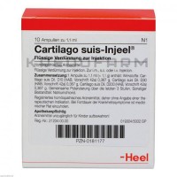 Картилаго ● Cartilago