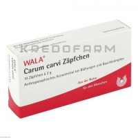 Карум Карви ● Carum Carvi