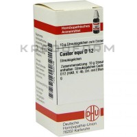 Кастор ● Castor