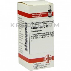 Кастор ● Castor