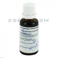 Каулофиллум ● Caulophyllum