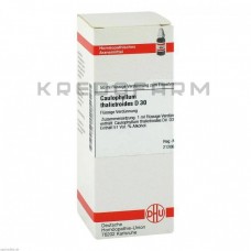 Каулофілум Таліктроїдес ● Caulophyllum Thalictroides