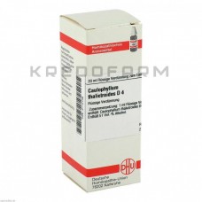 Каулофілум Таліктроїдес ● Caulophyllum Thalictroides