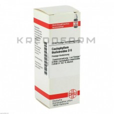 Каулофілум Таліктроїдес ● Caulophyllum Thalictroides