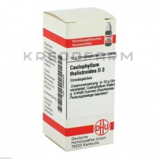 Каулофілум Таліктроїдес ● Caulophyllum Thalictroides