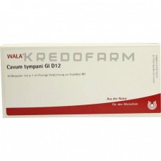 Кавум ● Cavum