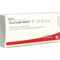 Кавум ● Cavum