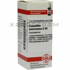 Цеанотус Американус ● Ceanothus Americanus