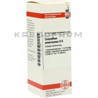 Цеанотус Американус ● Ceanothus Americanus