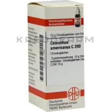 Цеанотус Американус ● Ceanothus Americanus