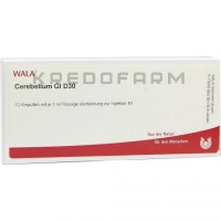 Церебеллум ● Cerebellum