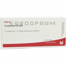 Церебеллум ● Cerebellum