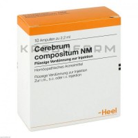 Церебрум Композитум ● Cerebrum Compositum