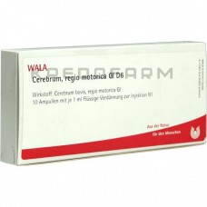 Церебрум Регіо ● Cerebrum Regio