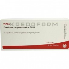 Церебрум Регіо ● Cerebrum Regio