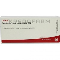 Церебрум Регио ● Cerebrum Regio