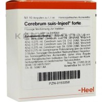 Церебрум Суис ● Cerebrum Suis